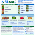 siltac ec 1l – physical action pest control for aphids, mites, whiteflies, thrips & scale